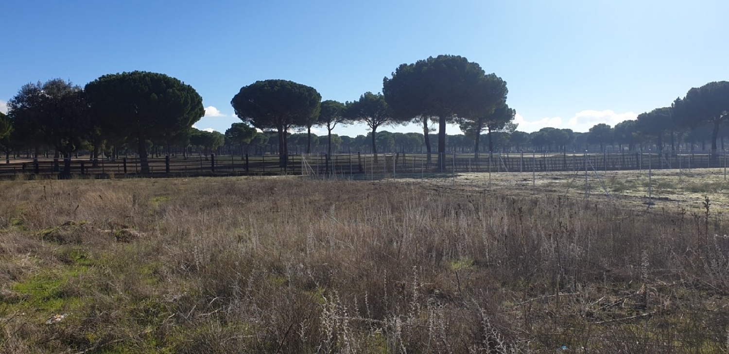  till salu tomt Golf De Aldeamayor Tierra De Pinares 8