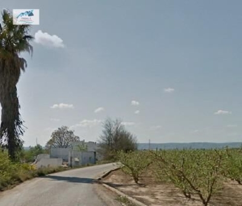 Guadassuar Ribera Alta tomt foto 6215380