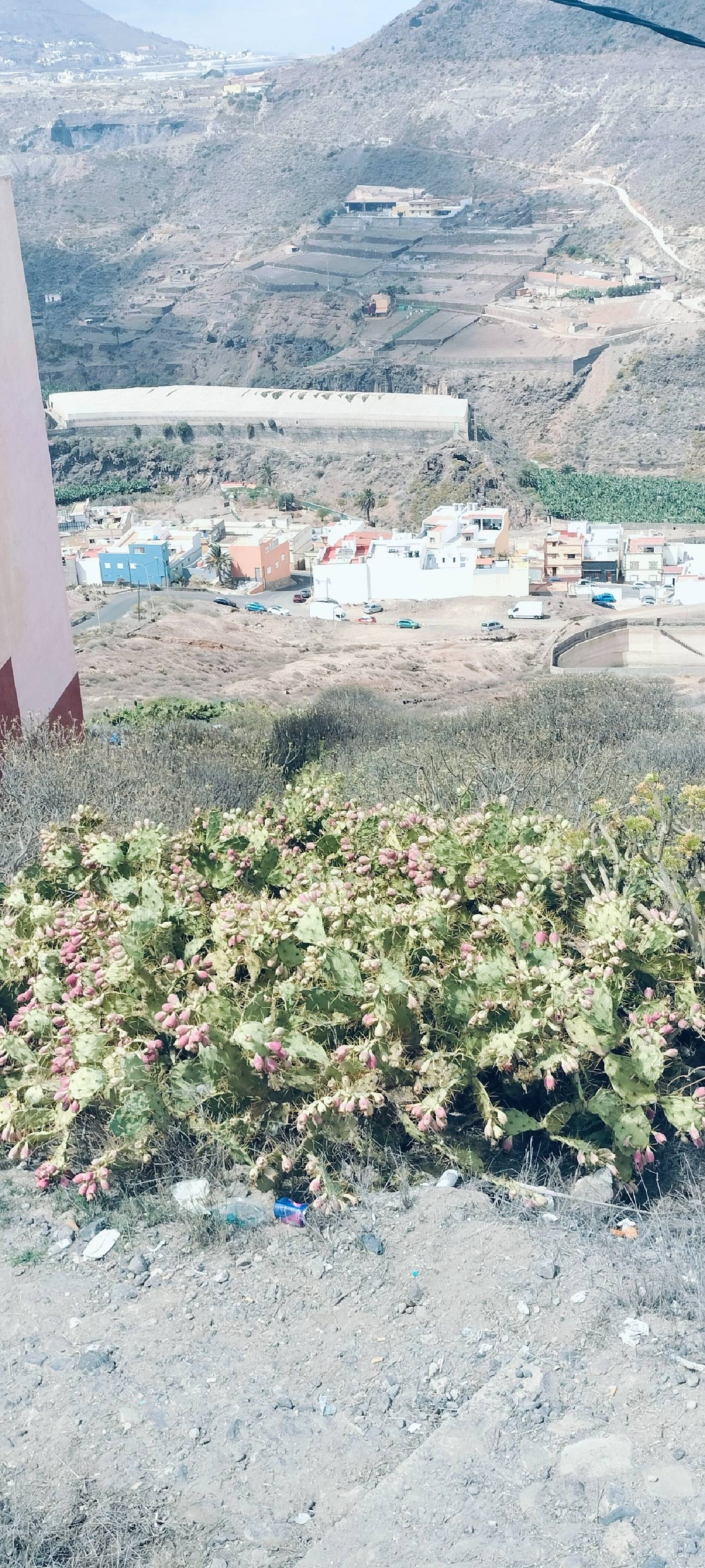  till salu tomt Guanarterme Palmas De Gran Canaria (Las) 4