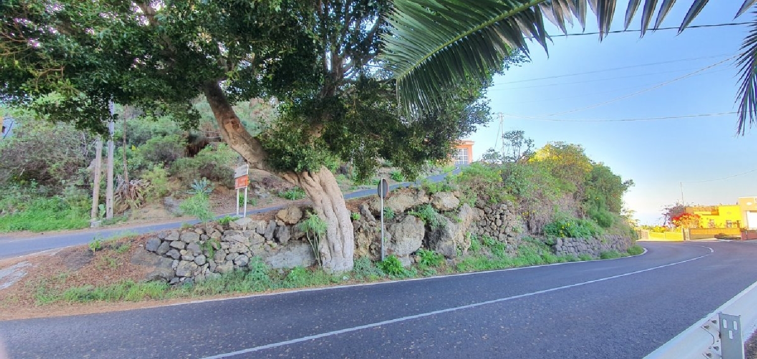  till salu tomt Guancha La Zona Sureste 8