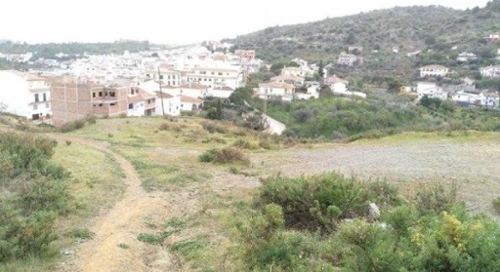 Guaro Sierra De Las Nieves tomt foto 6235105