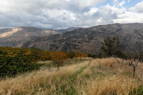 Güéjar Sierra Vega De Granada tomt foto 6215060