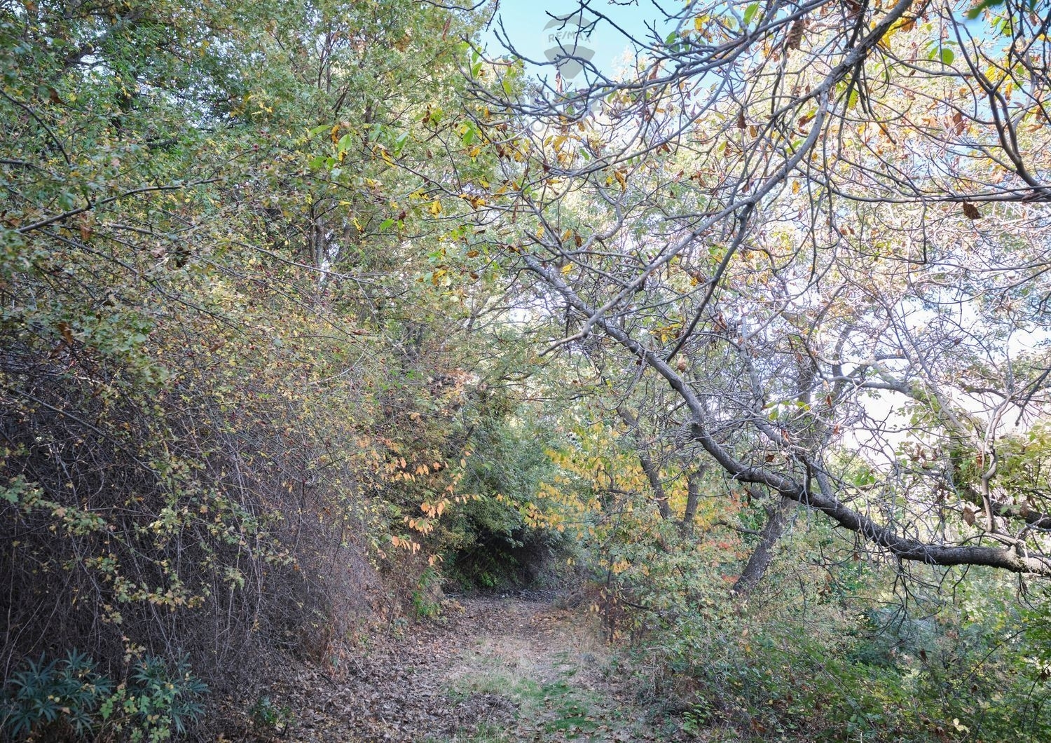  en venta terreno Alamillo Huéscar 5