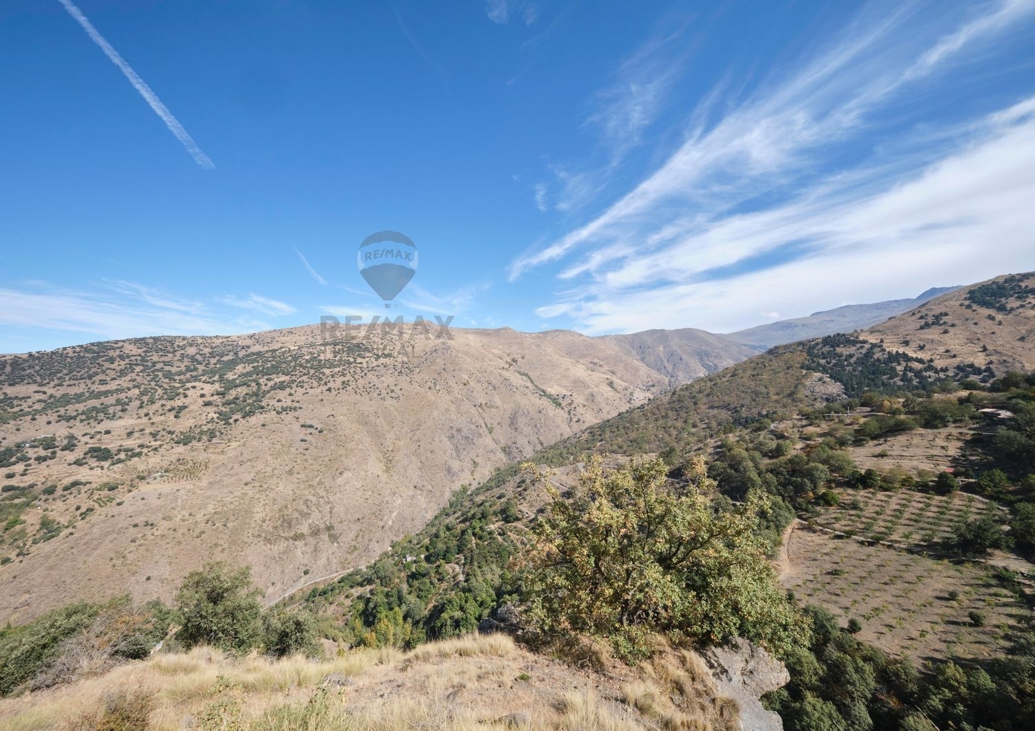  en venta terreno Alamillo Huéscar 7