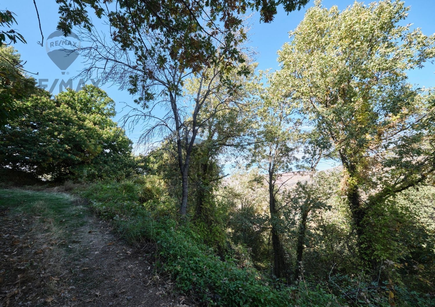  en venta terreno Alamillo Huéscar 6