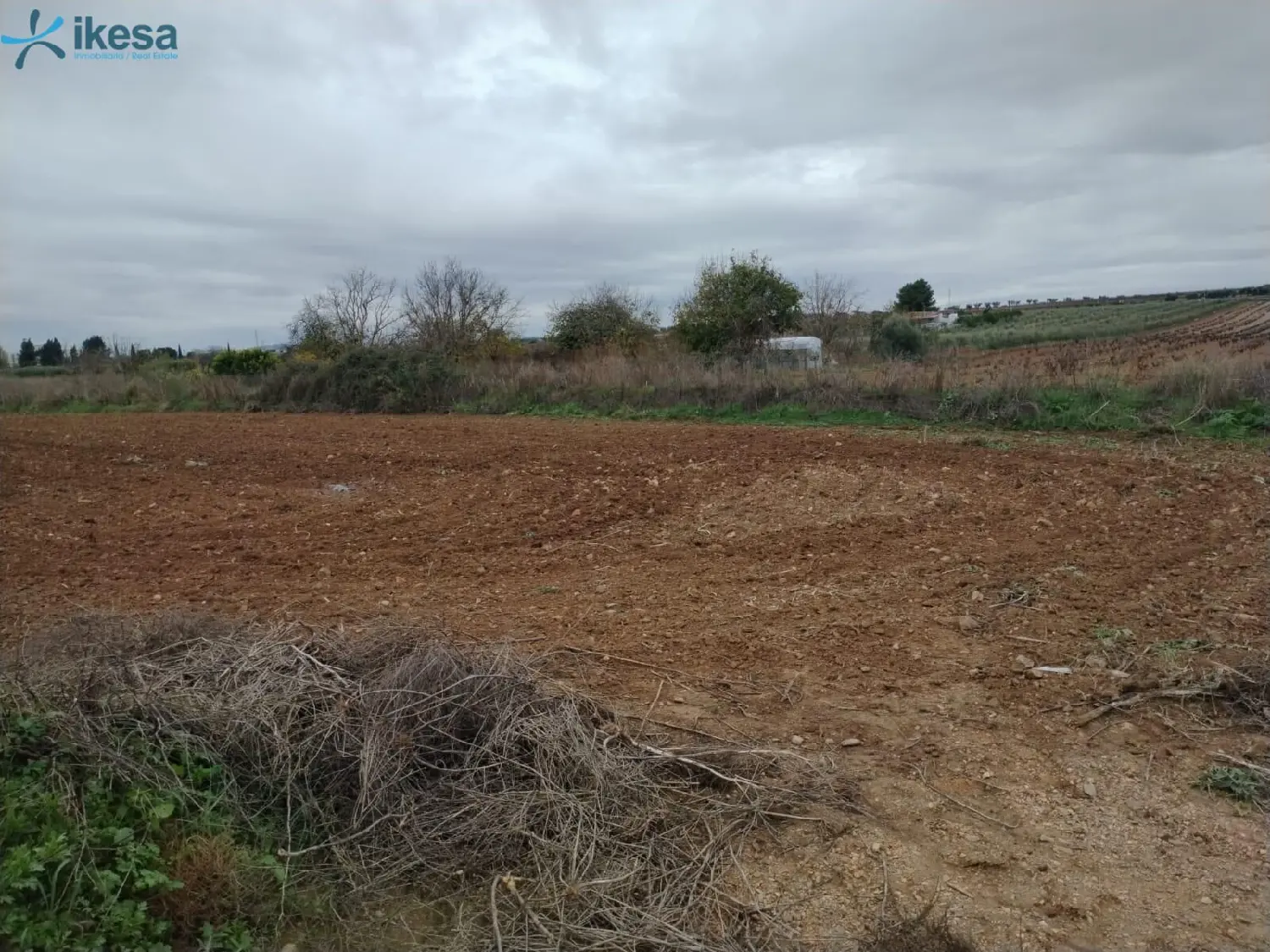 till salu tomt Ronda Sur-Ctra De Sevilla Badajoz 2