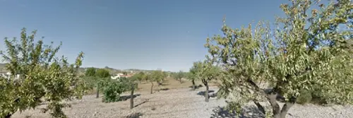 Barbarroja Baix Segura tomt foto 6190330