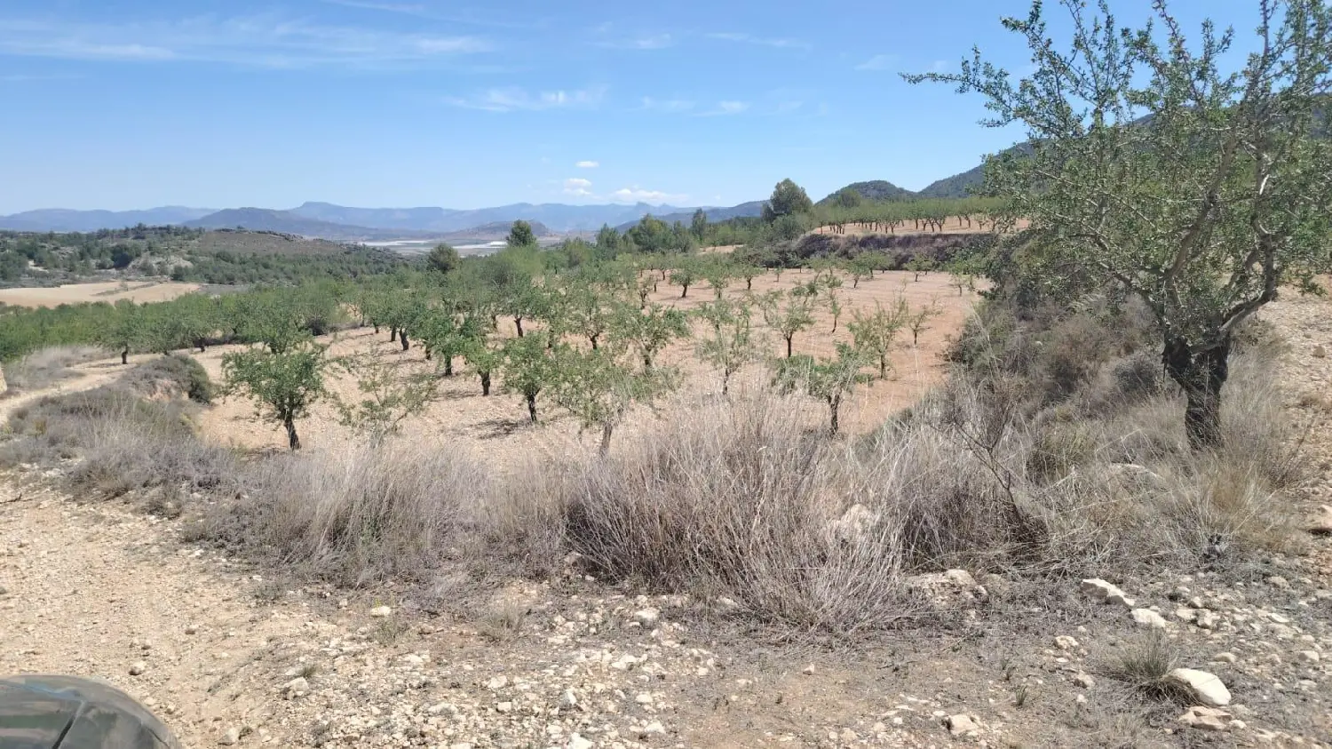 till salu tomt Hondón De Los Frailes Vinalopó Mitjà 2