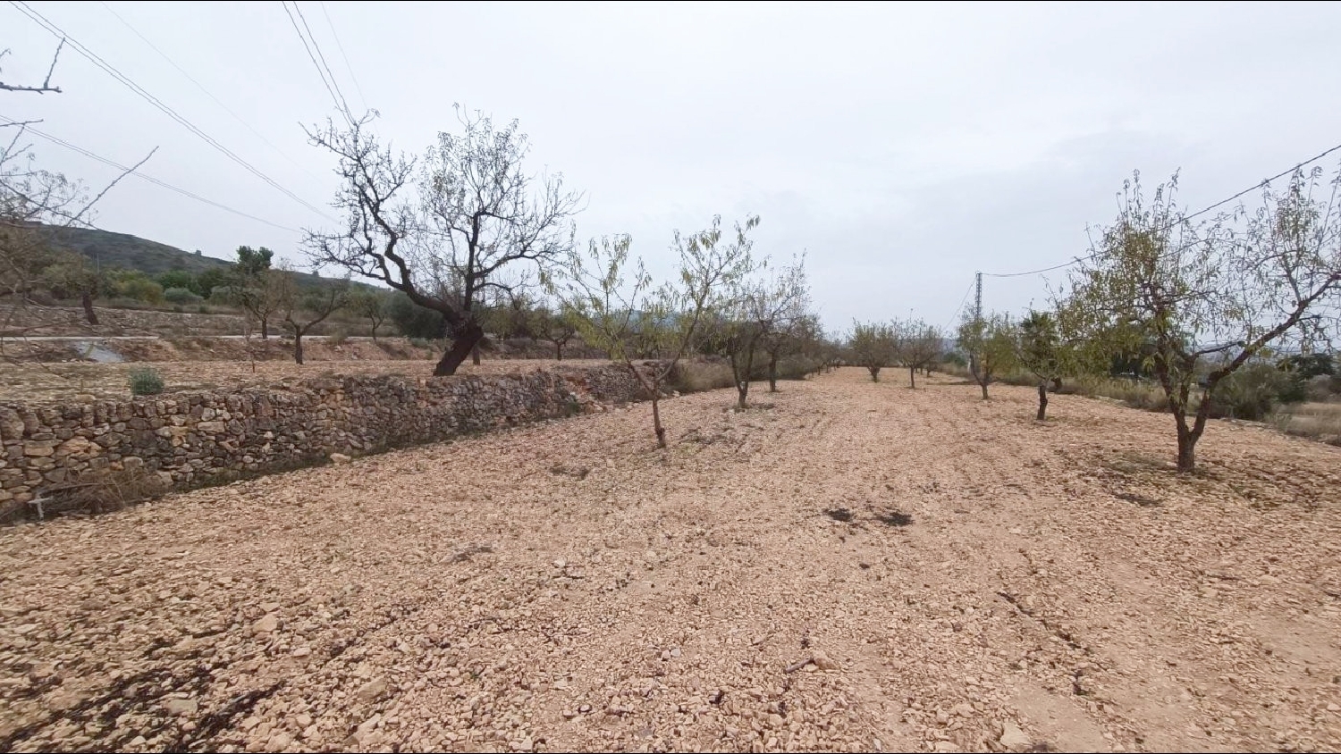  till salu tomt Hondón De Los Frailes Vinalopó Mitjà 1
