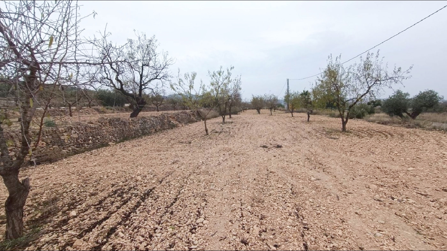 till salu tomt Hondón De Los Frailes Vinalopó Mitjà 2