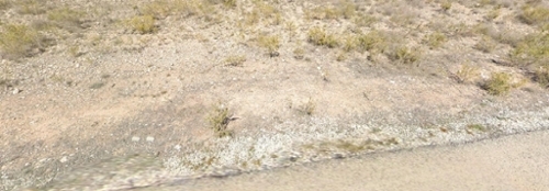 Hondón De Los Frailes Vinalopó Mitjà tomt foto 6226871