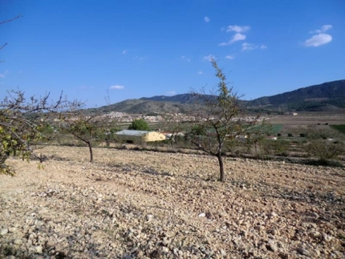 Hondón De Los Frailes Vinalopó Mitjà tomt foto 6222224