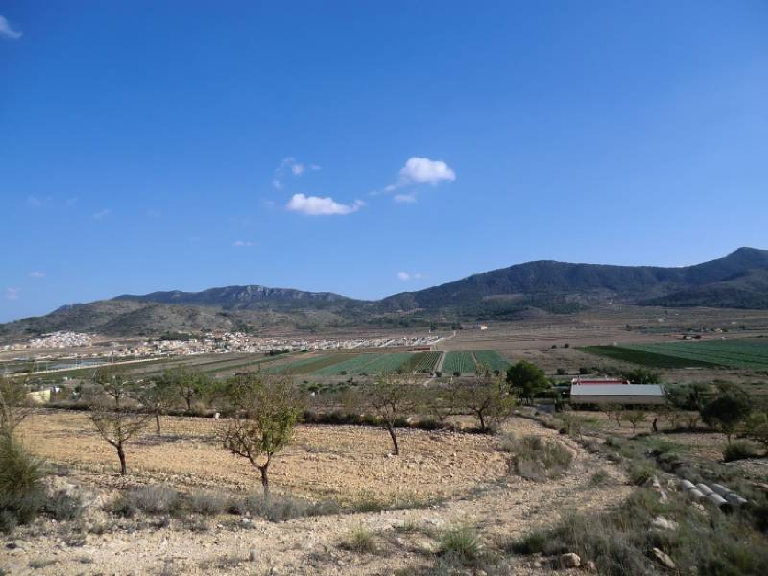  till salu tomt Hondón De Los Frailes Vinalopó Mitjà 4