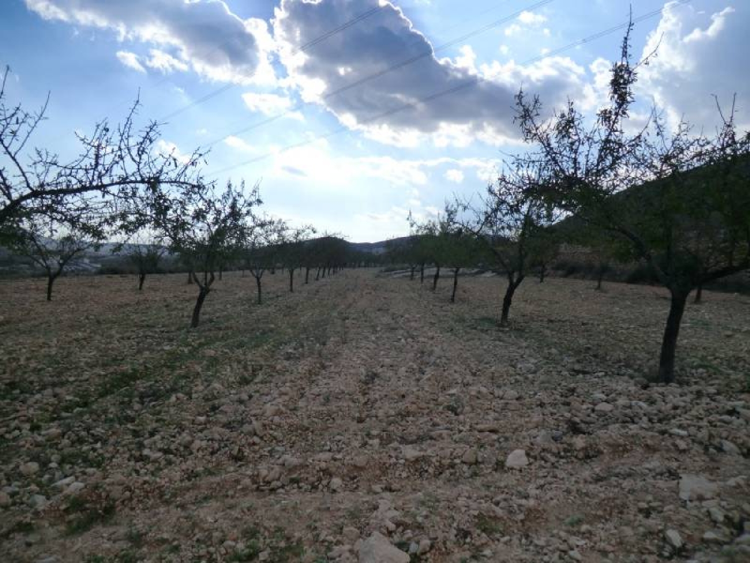  till salu tomt Hondón De Los Frailes Vinalopó Mitjà 5