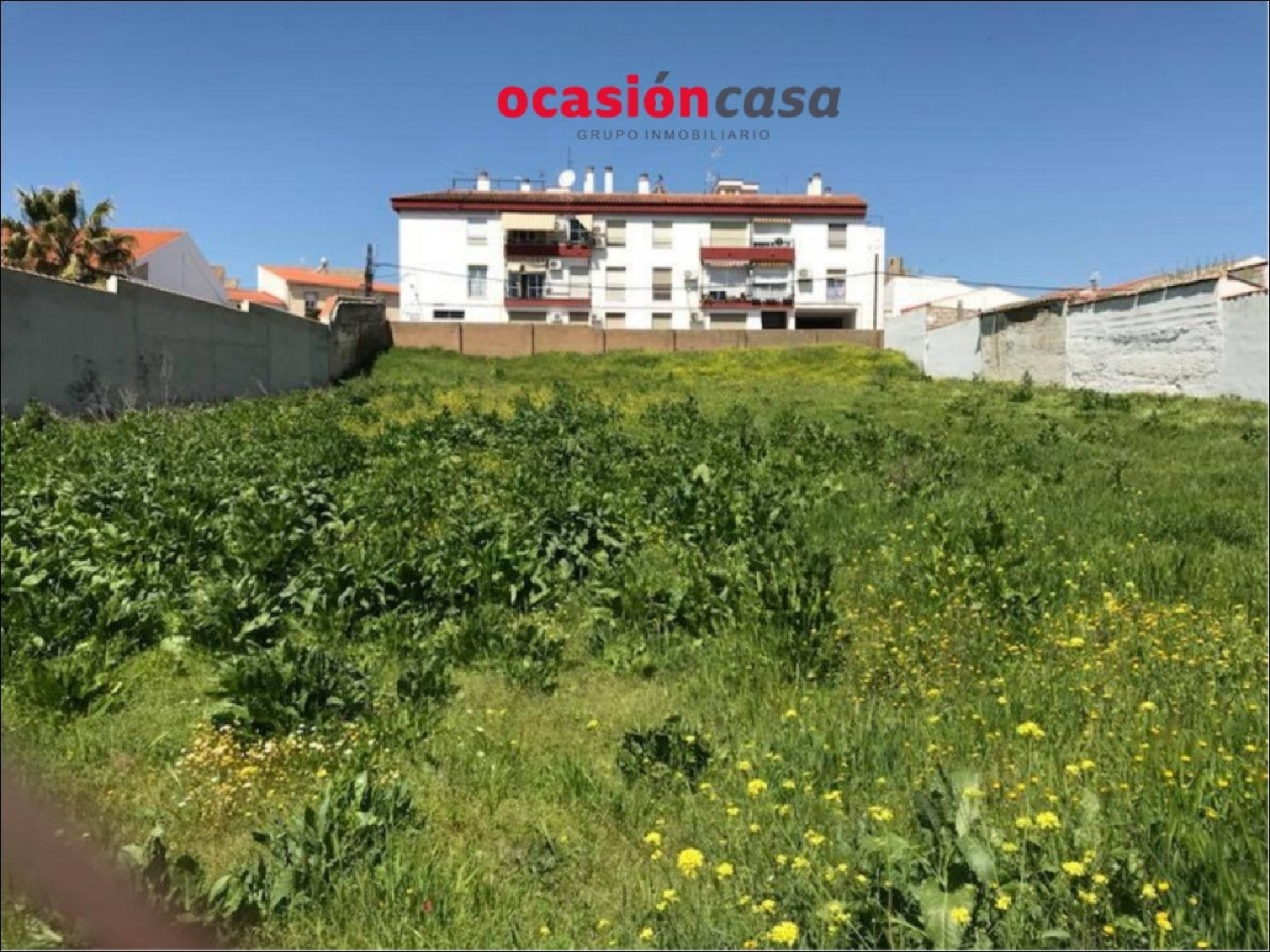  for sale plot Torrecampo Pedroches (Los) 4