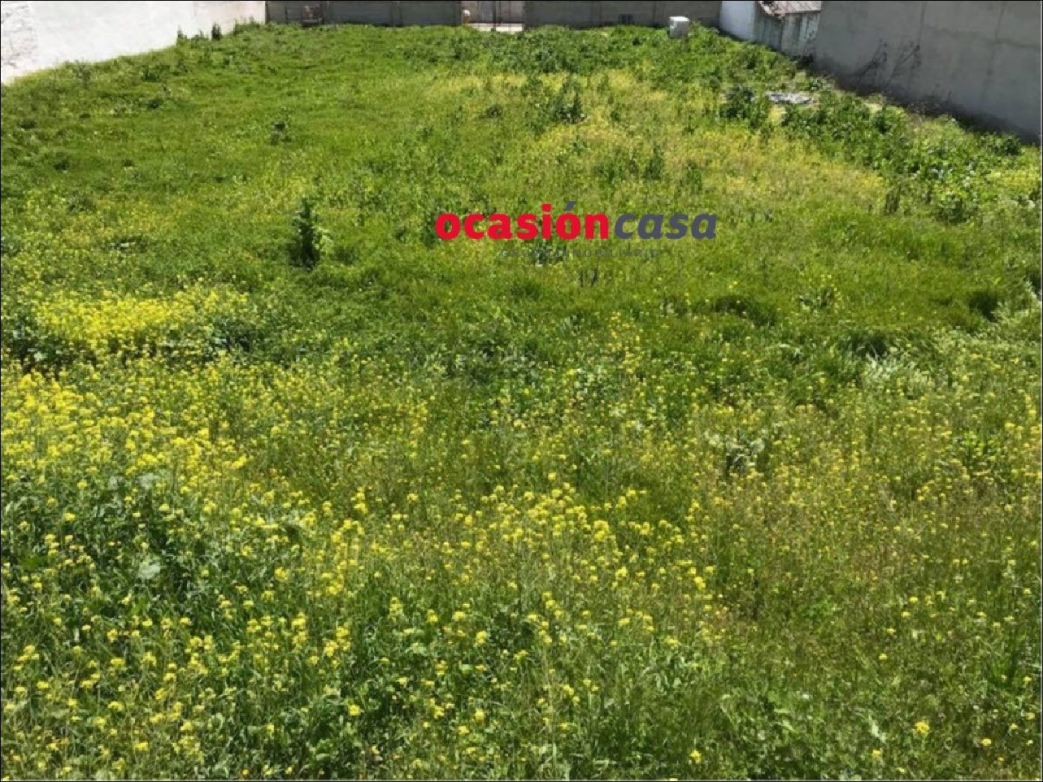  for sale plot Torrecampo Pedroches (Los) 5