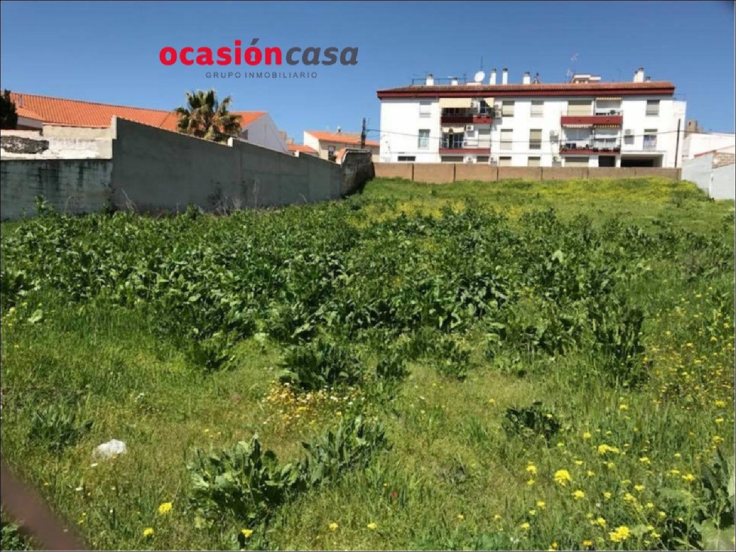  for sale plot Torrecampo Pedroches (Los) 3