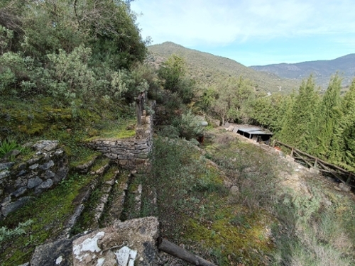 Huerta Alamo Sierra De Cádiz tomt foto 6252707