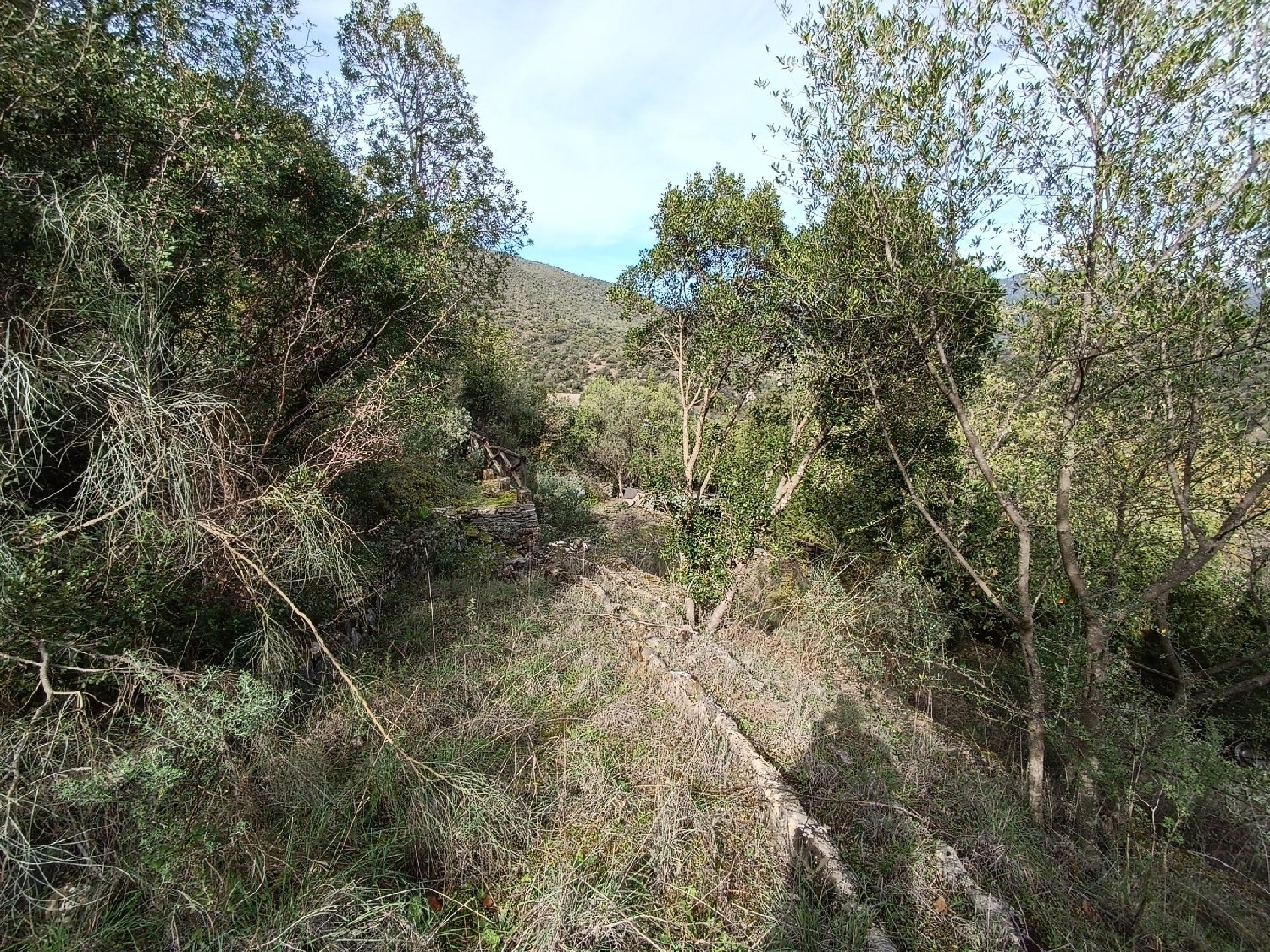 till salu tomt Huerta Alamo Sierra De Cádiz 3