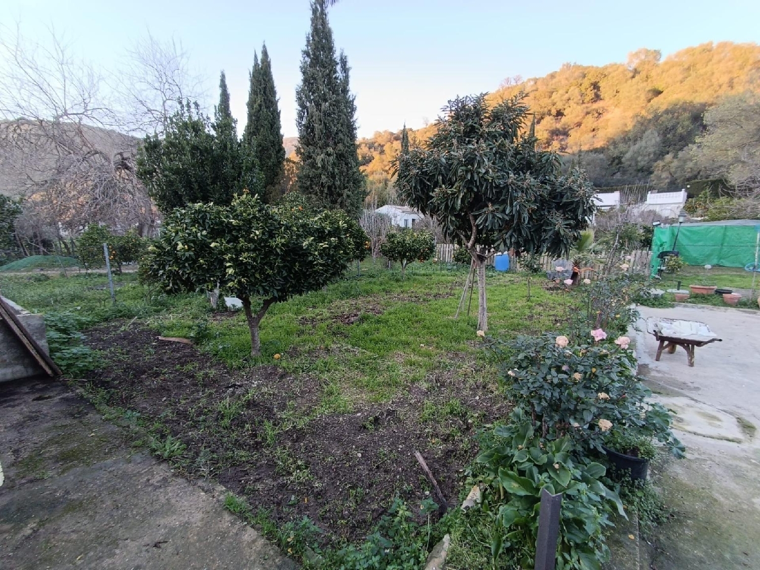  till salu tomt Huerta Alamo Sierra De Cádiz 4