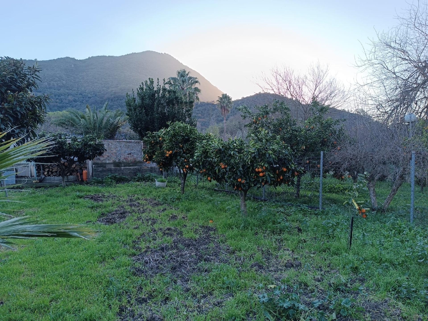 till salu lokal Cortes De La Frontera Serranía De Ronda 3