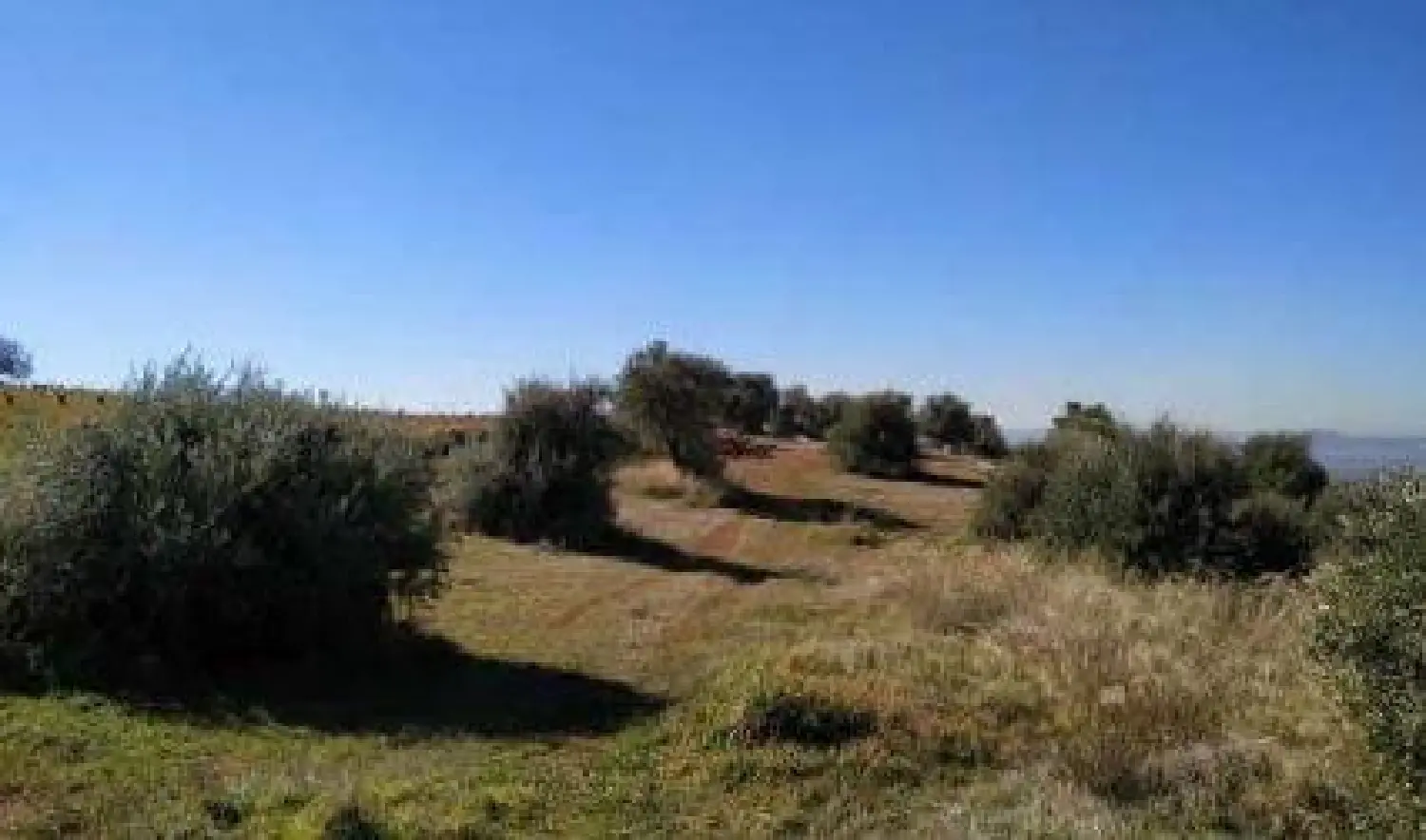 till salu tomt Huétor Vega Vega De Granada 2
