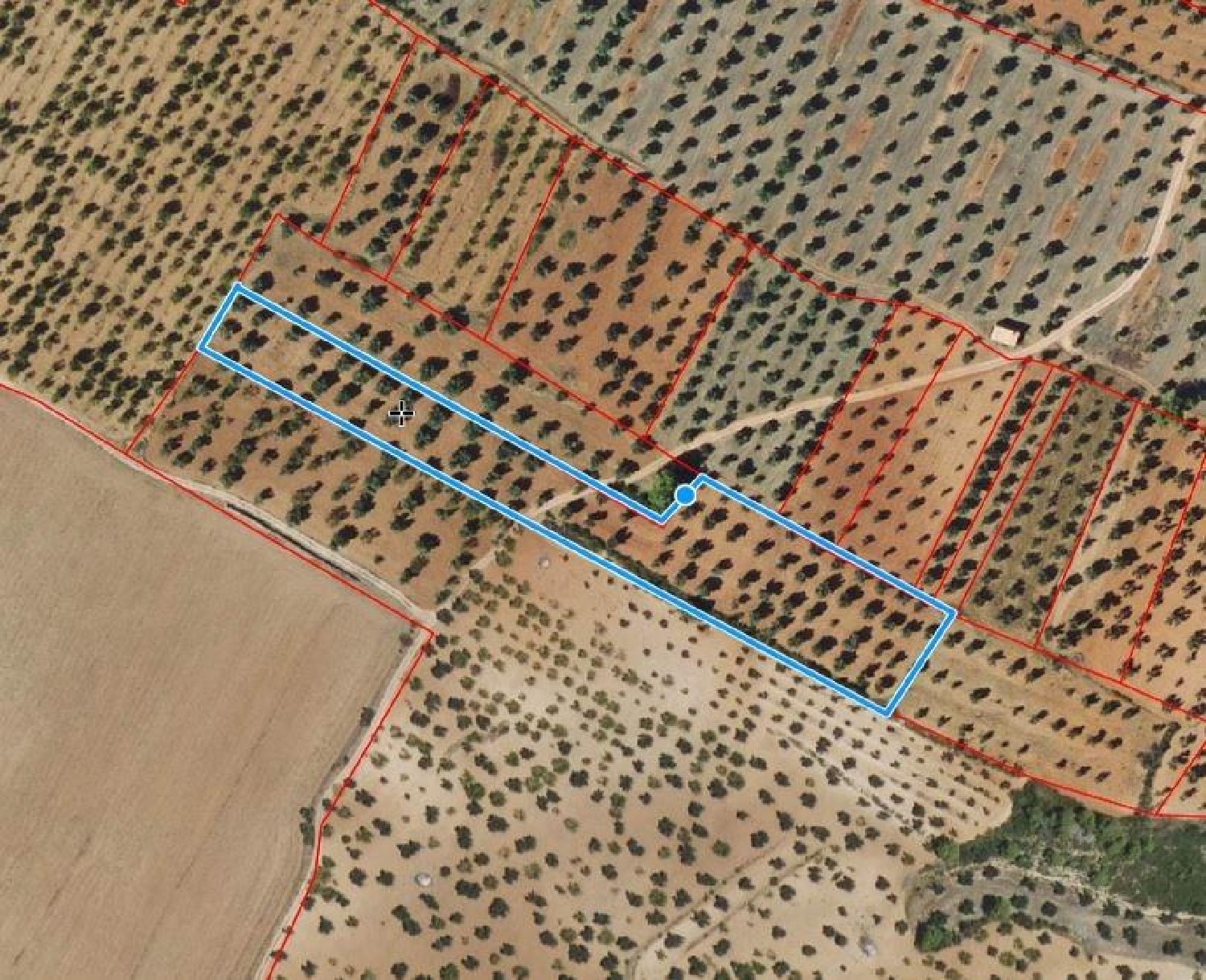  kaufen Grundstück Cervera Del Rincón Comunidad De Teruel (La) 2