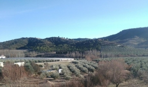 Játar Alhama tomt foto 6245667
