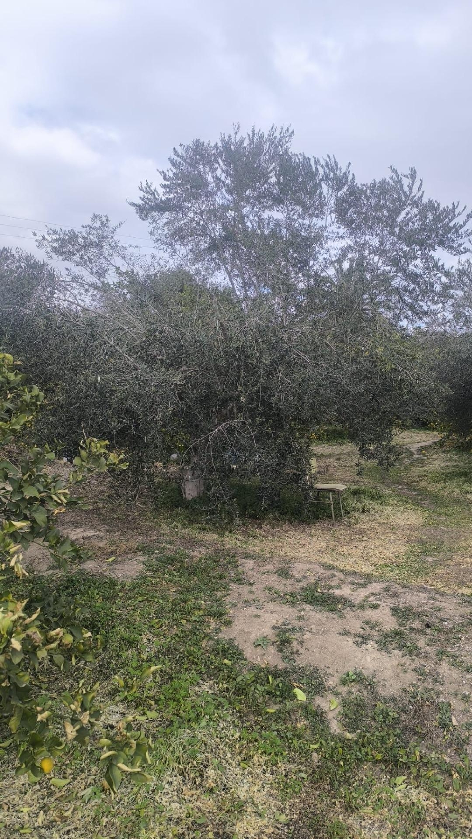 en venta terreno Javalí Nuevo Huerta De Murcia 3