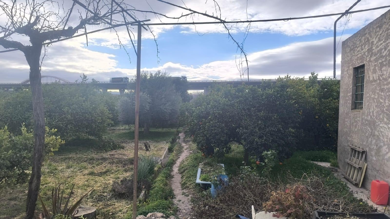  en venta terreno Javalí Nuevo Huerta De Murcia 5