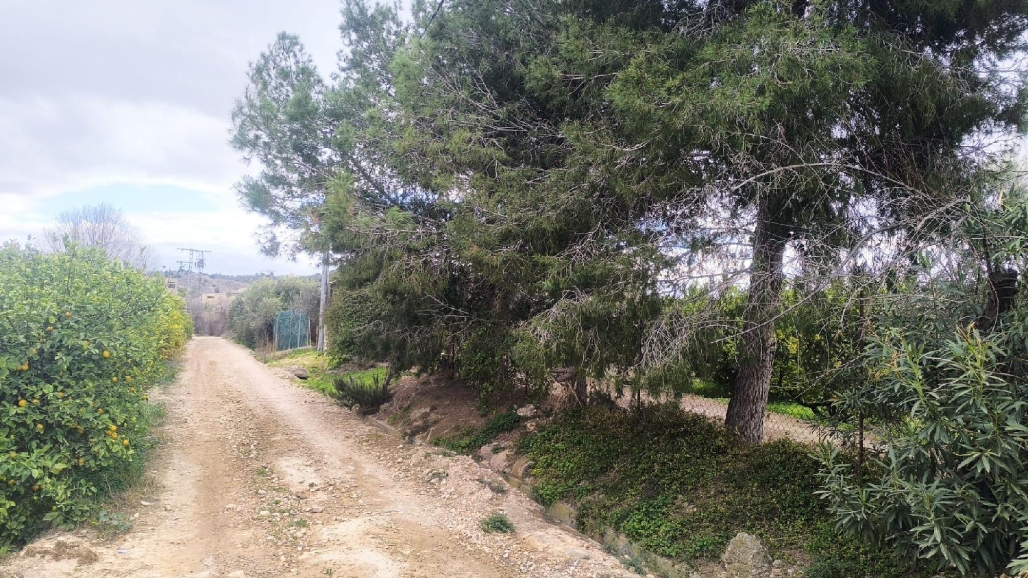 en venta terreno Javalí Nuevo Huerta De Murcia 2