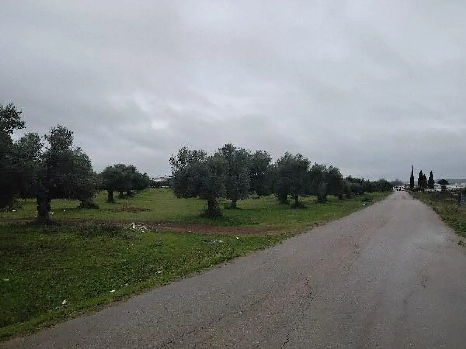  till salu tomt Algodonales Sierra De Cádiz 1