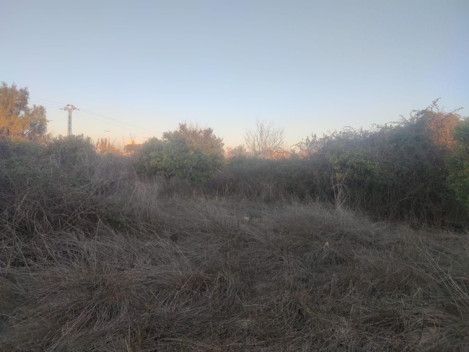  till salu tomt La Alberca Huerta De Murcia 5