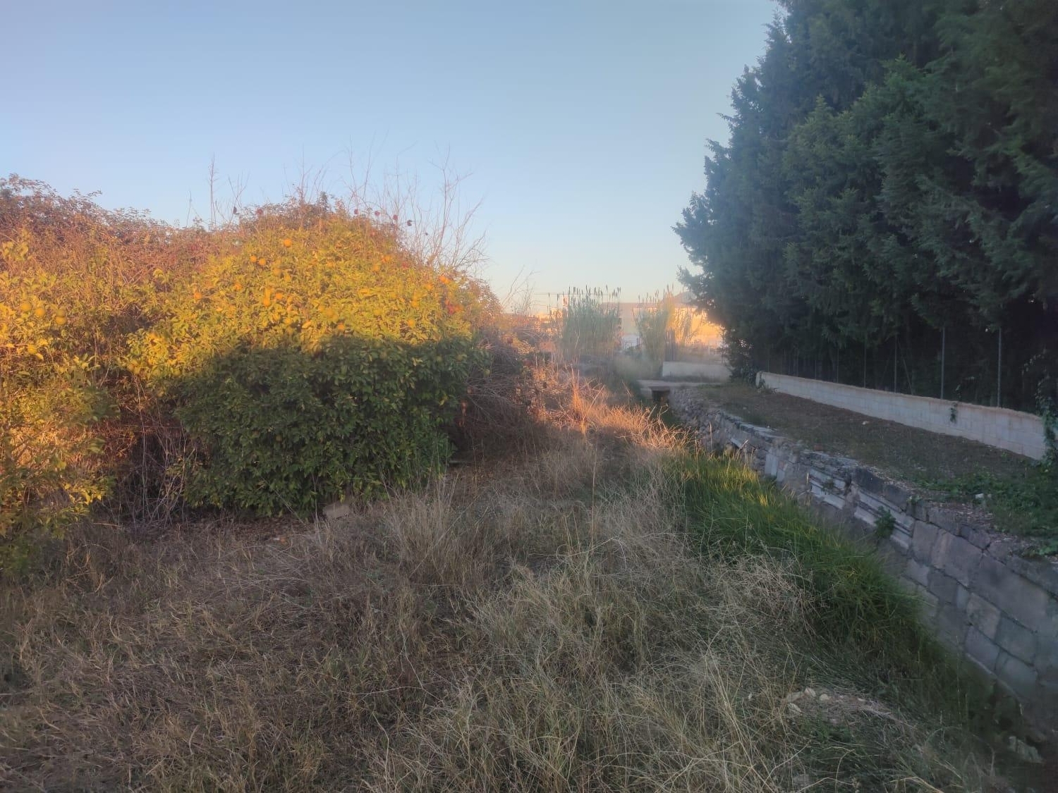  till salu tomt La Alberca Huerta De Murcia 6