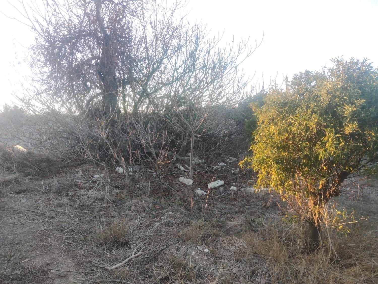  till salu tomt La Alberca Huerta De Murcia 7