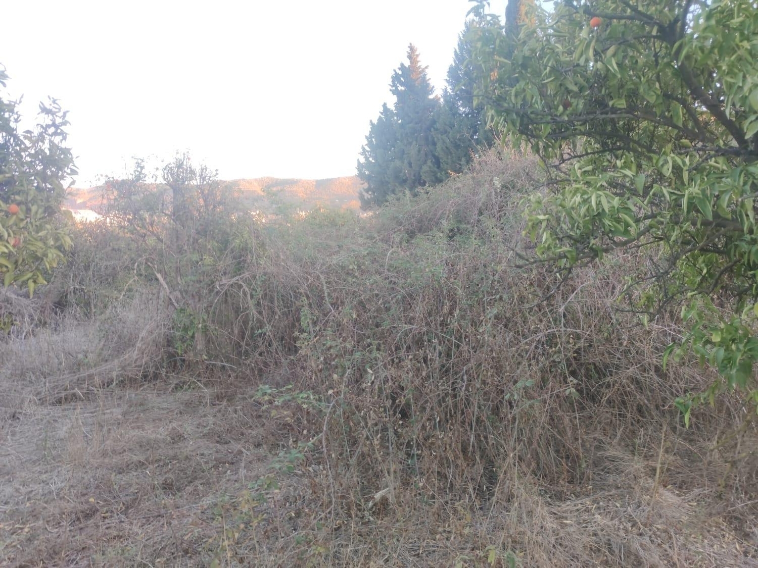 till salu tomt La Alberca Huerta De Murcia 3