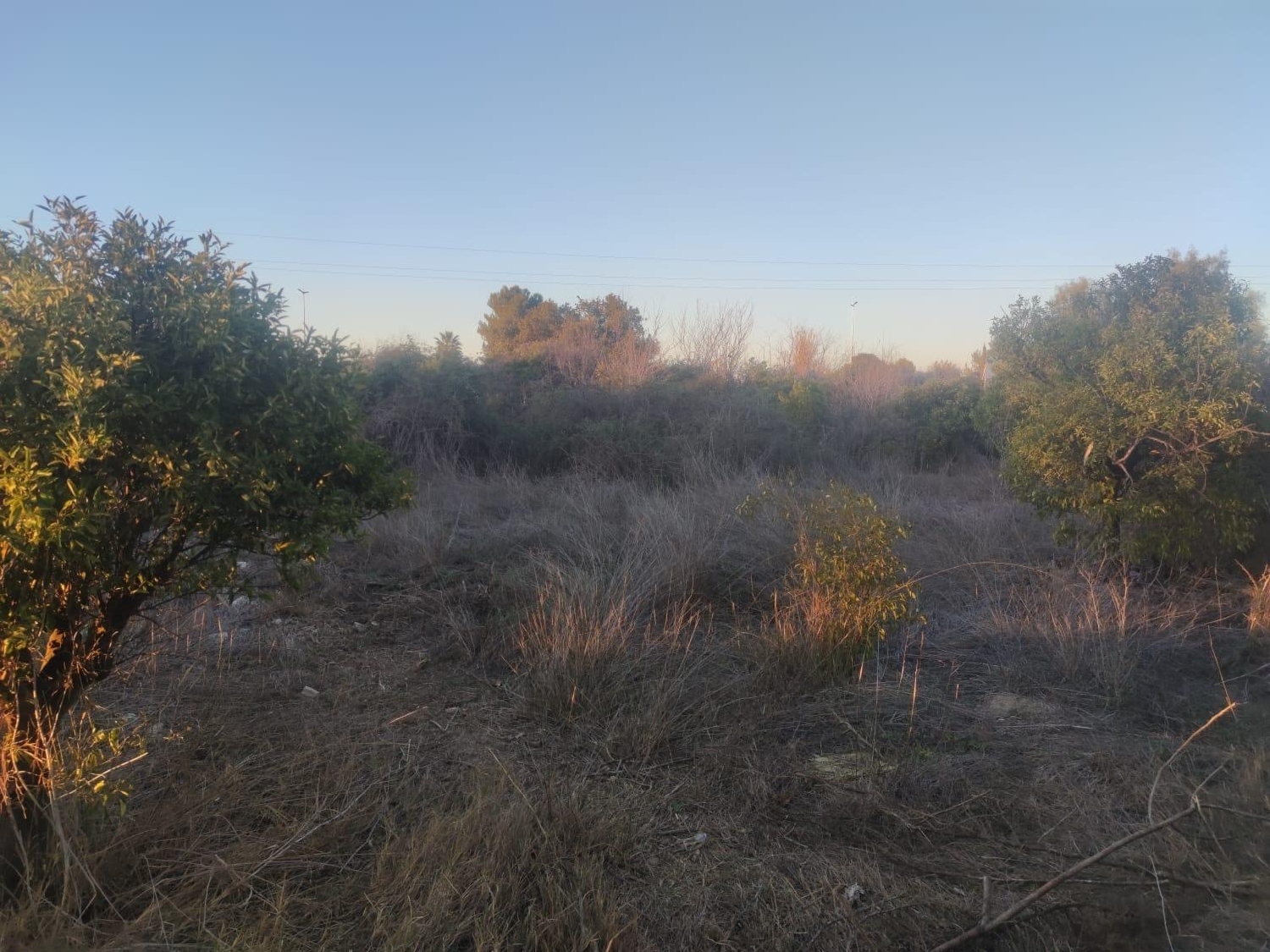  till salu tomt La Alberca Huerta De Murcia 8