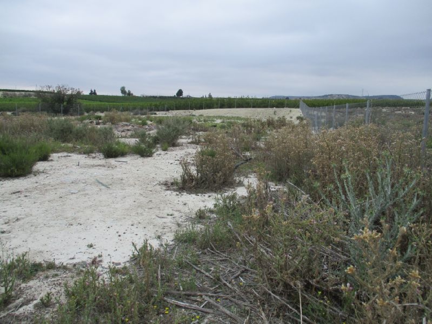 till salu tomt La Alquibla Valle De Ricote 2