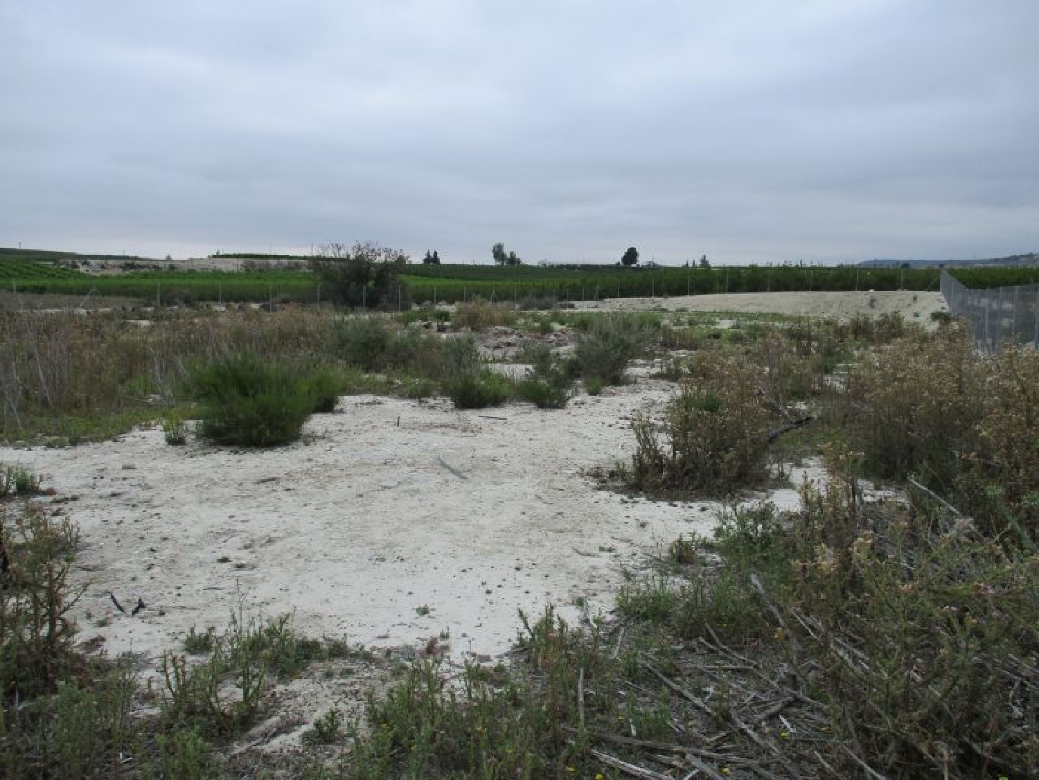 till salu tomt La Alquibla Valle De Ricote 3