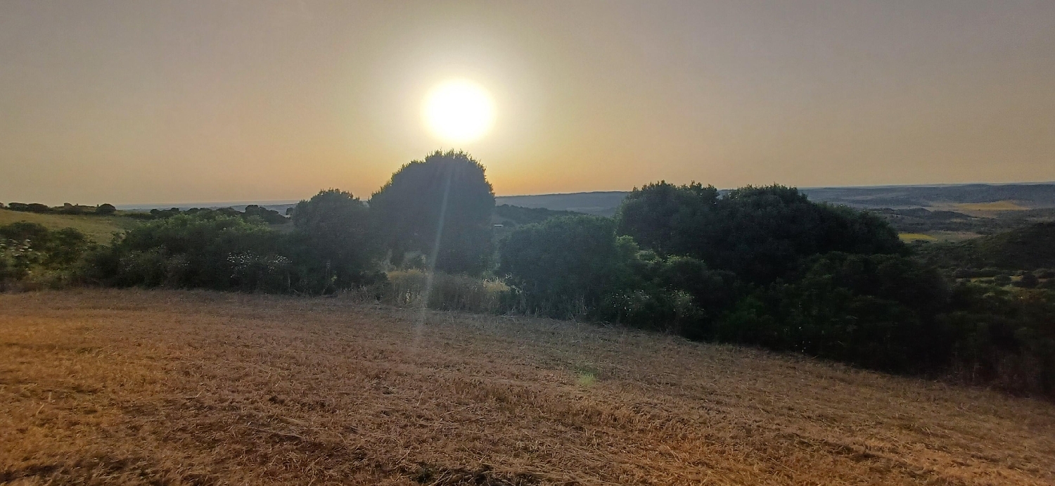 till salu tomt Los Naveros Janda (La) 2