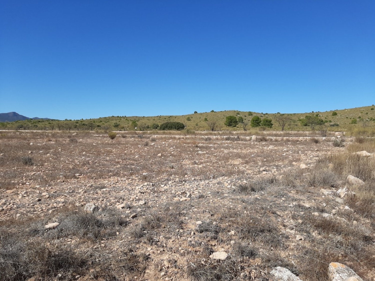 till salu tomt La Caballusa Vinalopó Mitjà 3