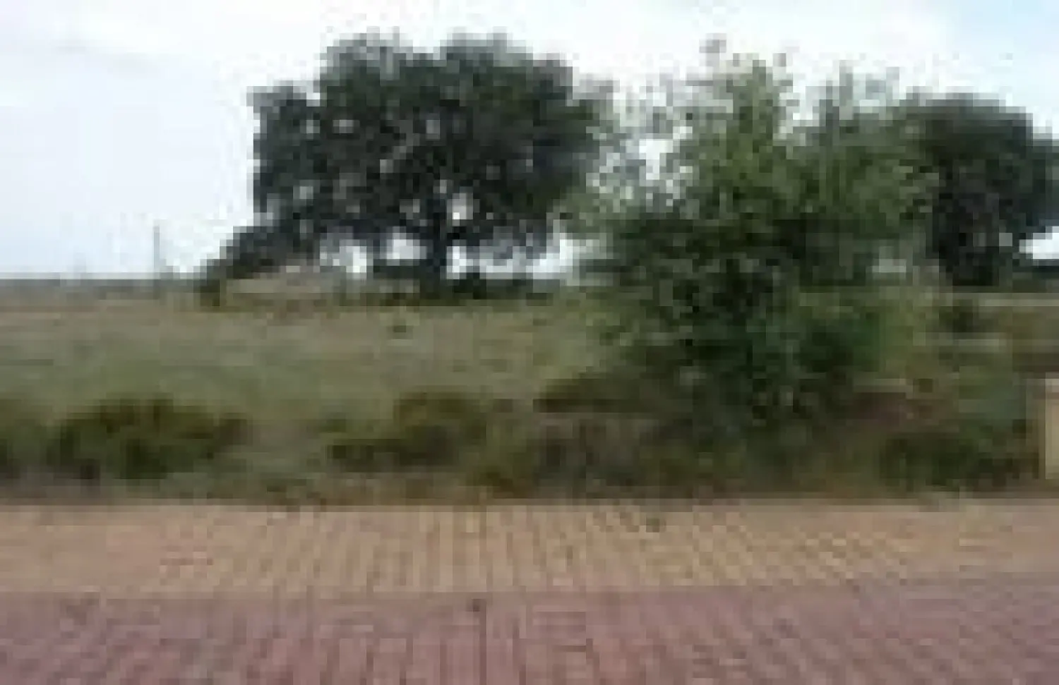  till salu tomt Tirados De La Vega Tierra De Ledesma 2