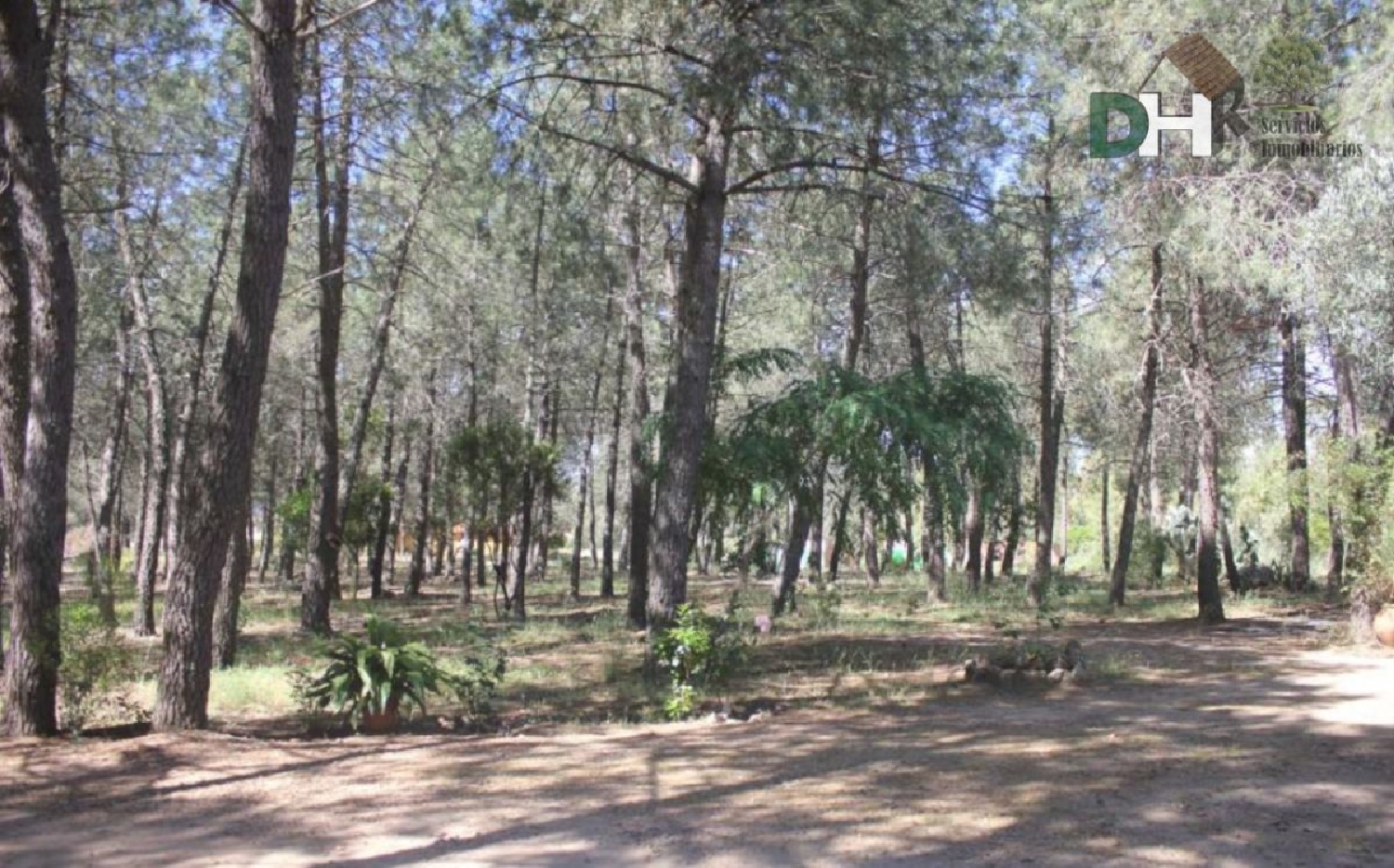  till salu tomt La Calera Villuercas 8