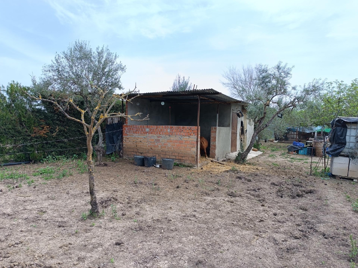  till salu tomt La Colonia Santa Eulalia Alt Vinalopó 8