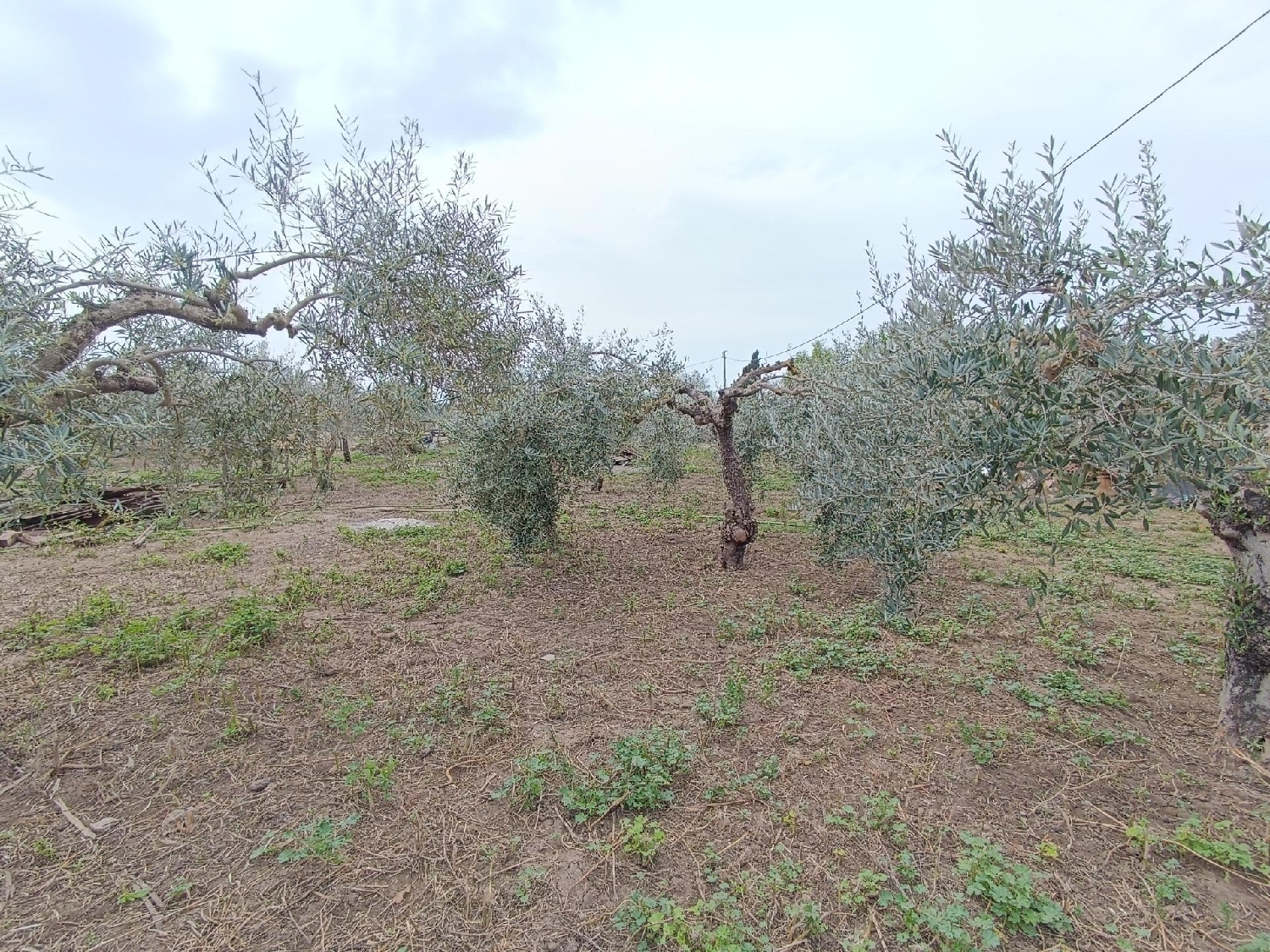  till salu tomt La Colonia Santa Eulalia Alt Vinalopó 6