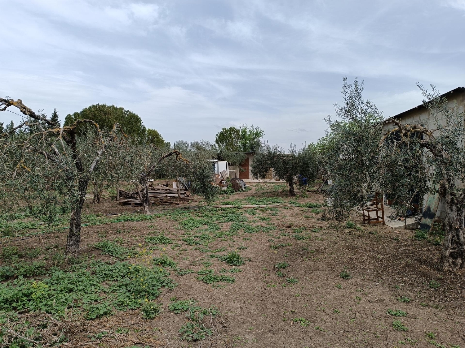  till salu tomt La Colonia Santa Eulalia Alt Vinalopó 5