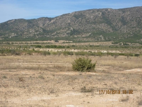 La Estacion Vinalopó Mitjà tomt foto 6223313