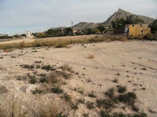 Els Montesinos Vinalopó Mitjà tomt foto 6223340