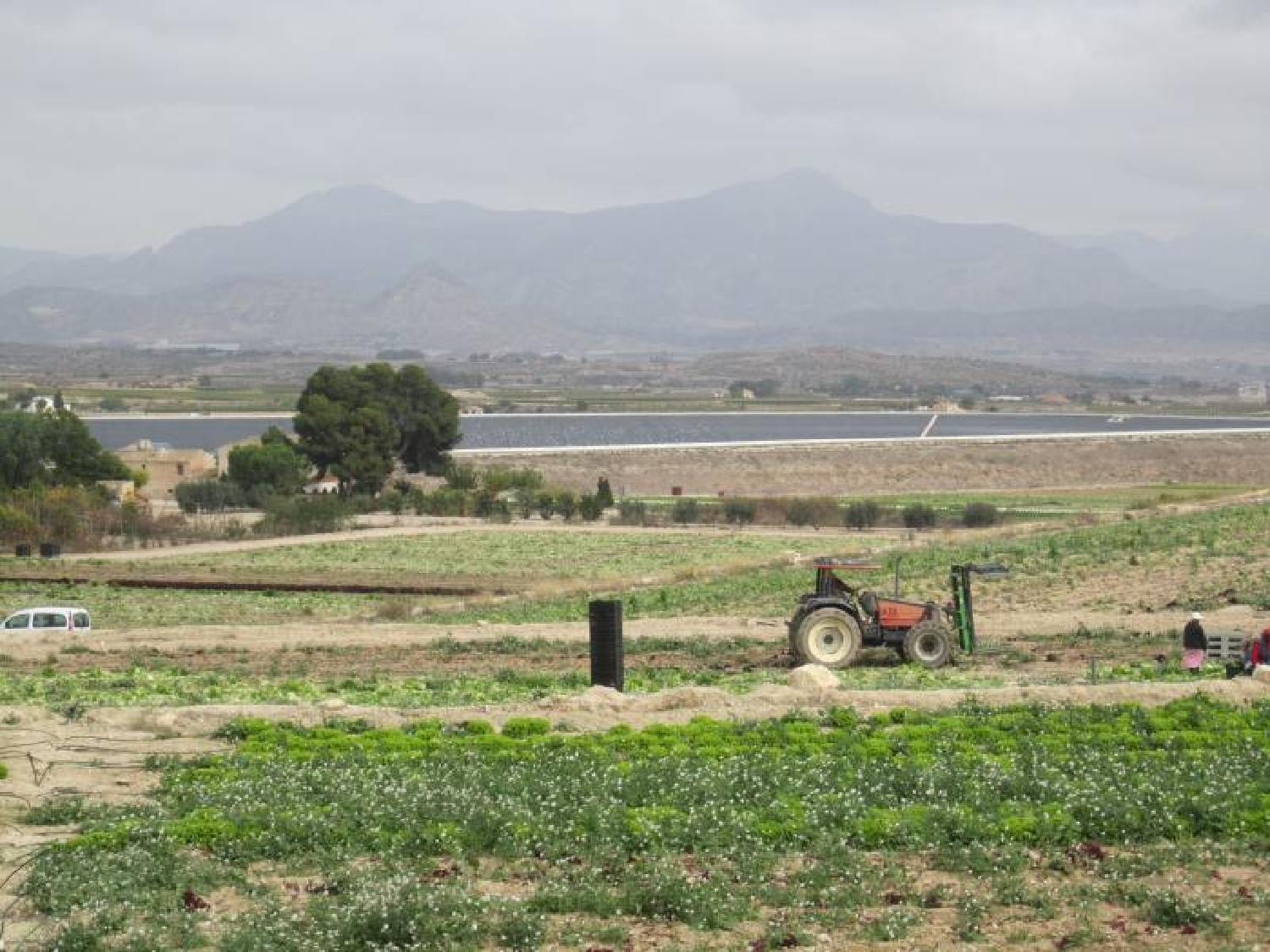 till salu tomt Els Montesinos Vinalopó Mitjà 3