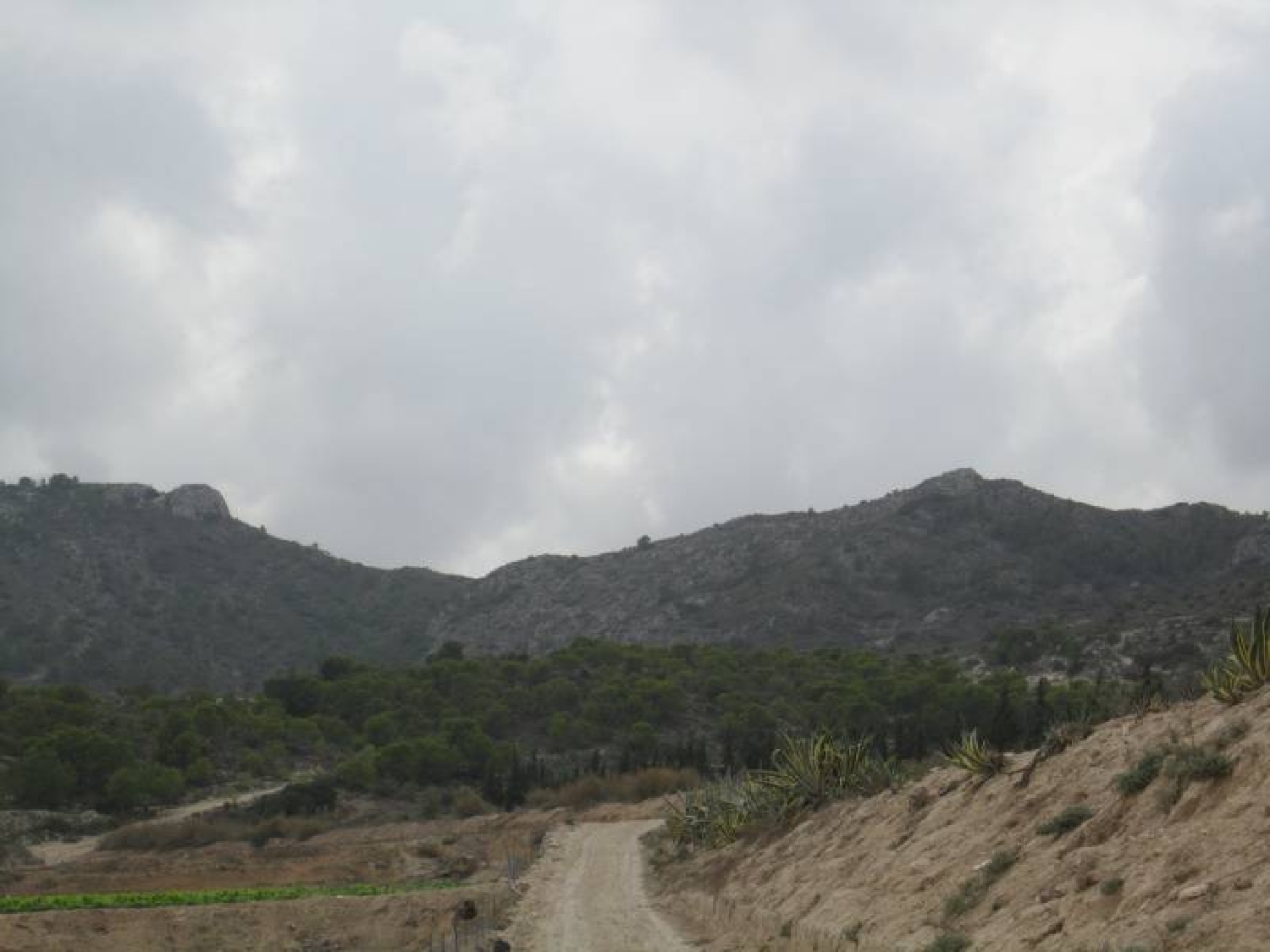  till salu tomt Els Montesinos Vinalopó Mitjà 5